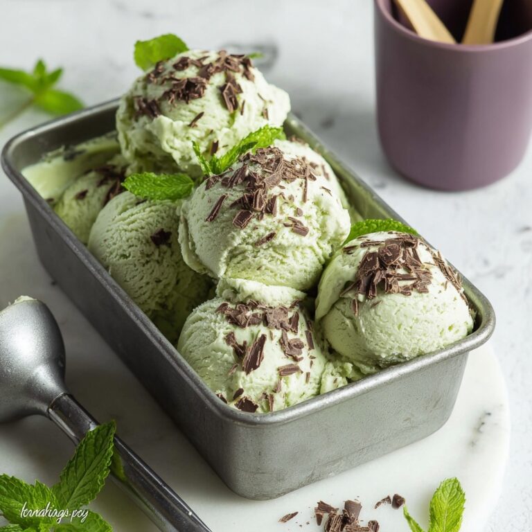 Vegan Mint Chocolate Chip Ice Cream Recipe